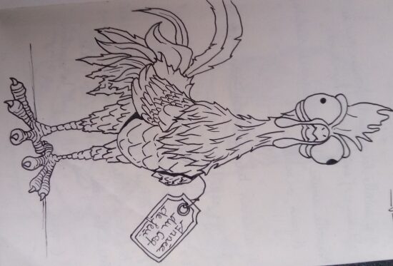 HeiHei - Vaiana